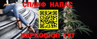 спайс Будённовск