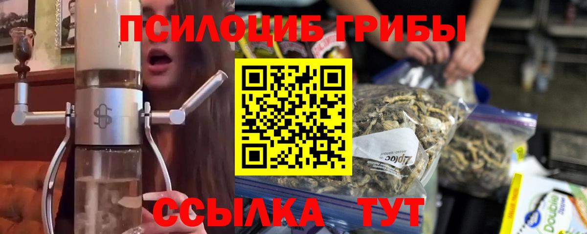 Псилоцибиновые грибы Cubensis Торжок